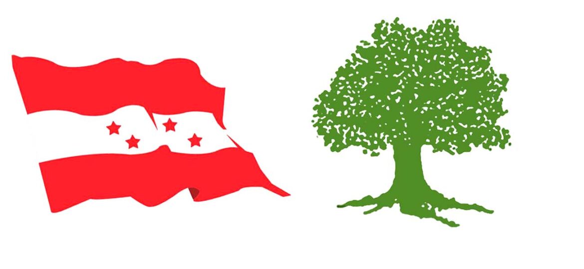 कांग्रेस महाधिवेशनका लागि विभिन्न समिति गठन, प्रदेश अधिवेशन संयोजक पनि तोकिए