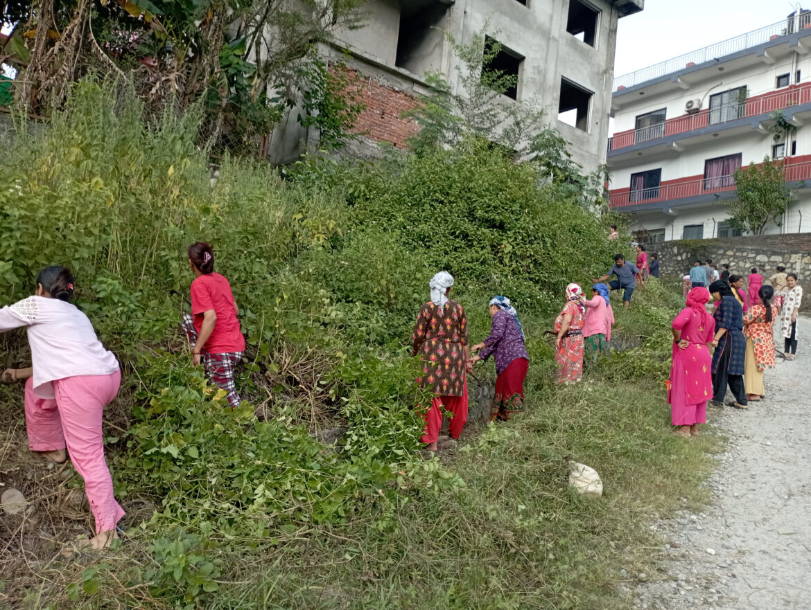 सरसफाई तथा शुभकामना