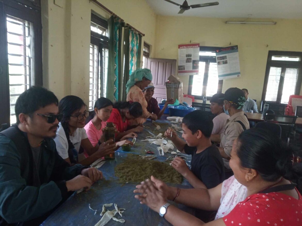 पैतिसजना धुप बनाउन प्रशिक्षित
