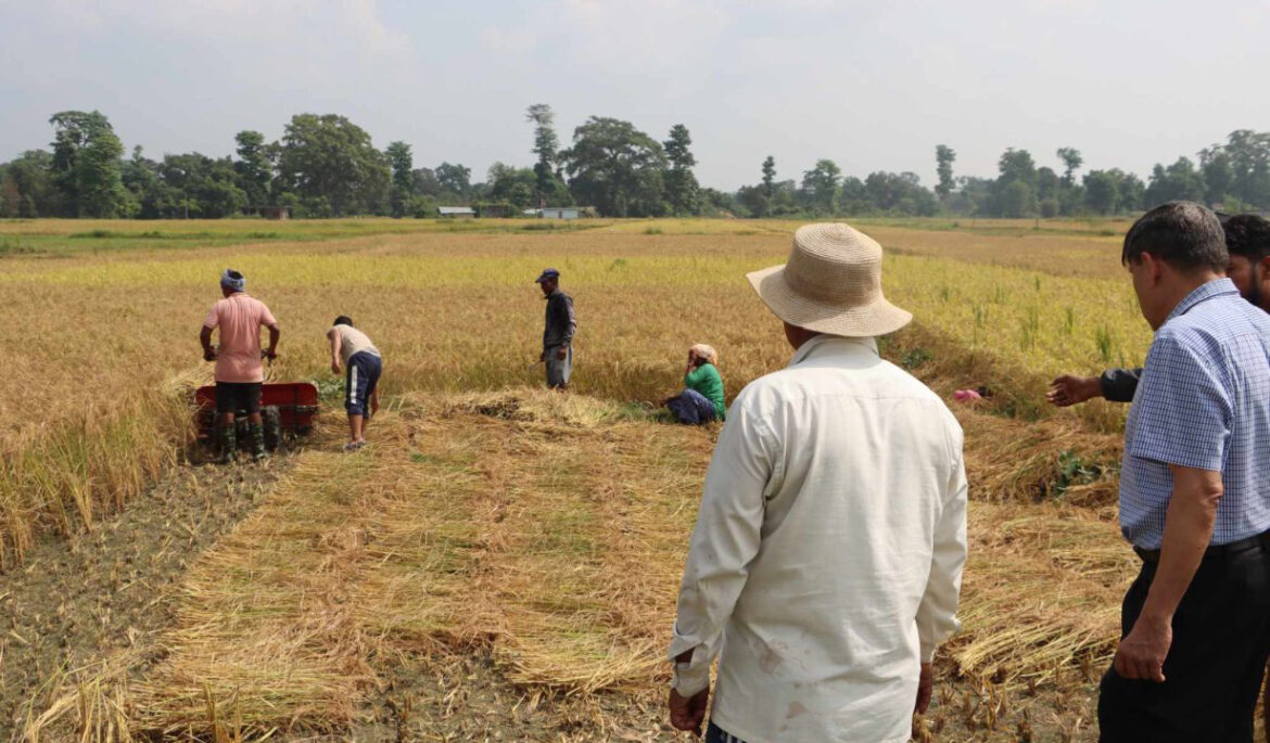 नेकपाको सन्देशमूलक कार्य