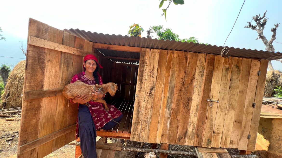 उत्पादन बढाउन आधुनिक खोर निर्माणमा जोड